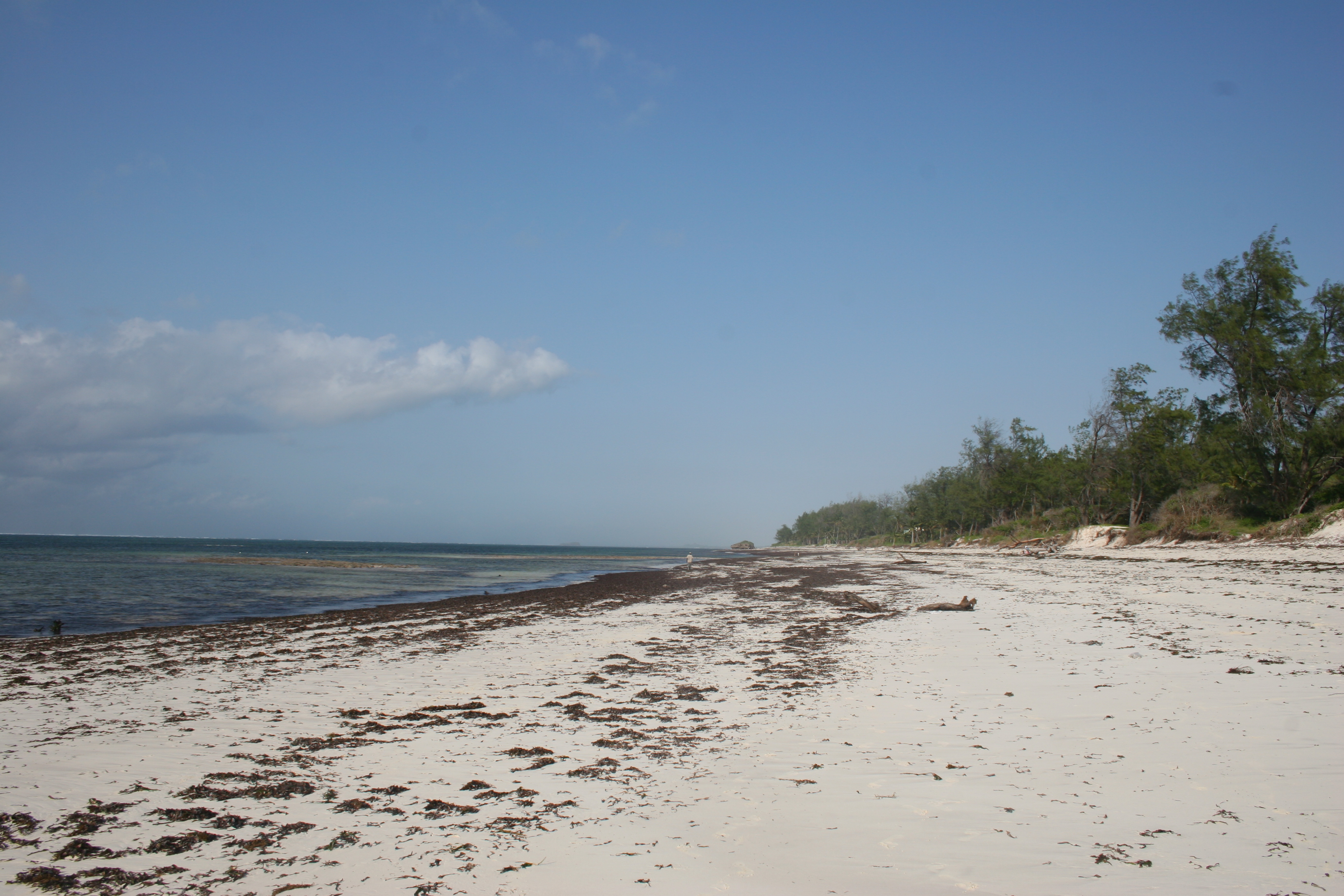 Watamu Marine Escape
